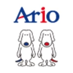 Logo of Ario android Application 